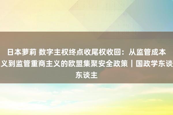 日本萝莉 数字主权终点收尾权收回：从监管成本主义到监管重商主义的欧盟集聚安全政策｜国政学东谈主