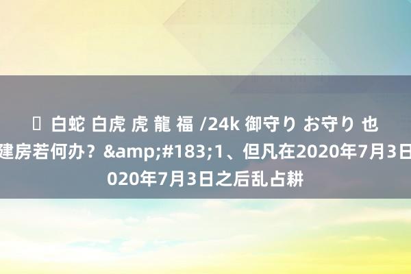 ✨白蛇 白虎 虎 龍 福 /24k 御守り お守り 也曾占了耕地建房若何办？&#183;1、但凡在2020年7月3日之后乱占耕