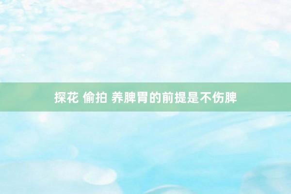 探花 偷拍 养脾胃的前提是不伤脾