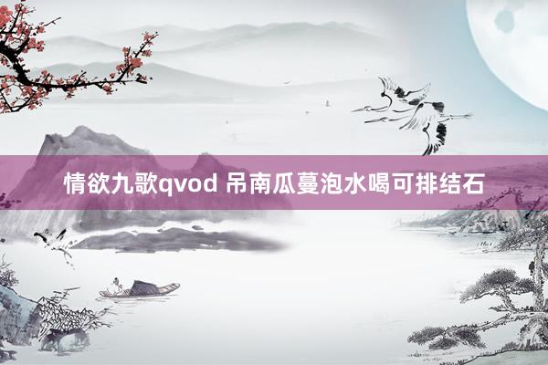 情欲九歌qvod 吊南瓜蔓泡水喝可排结石